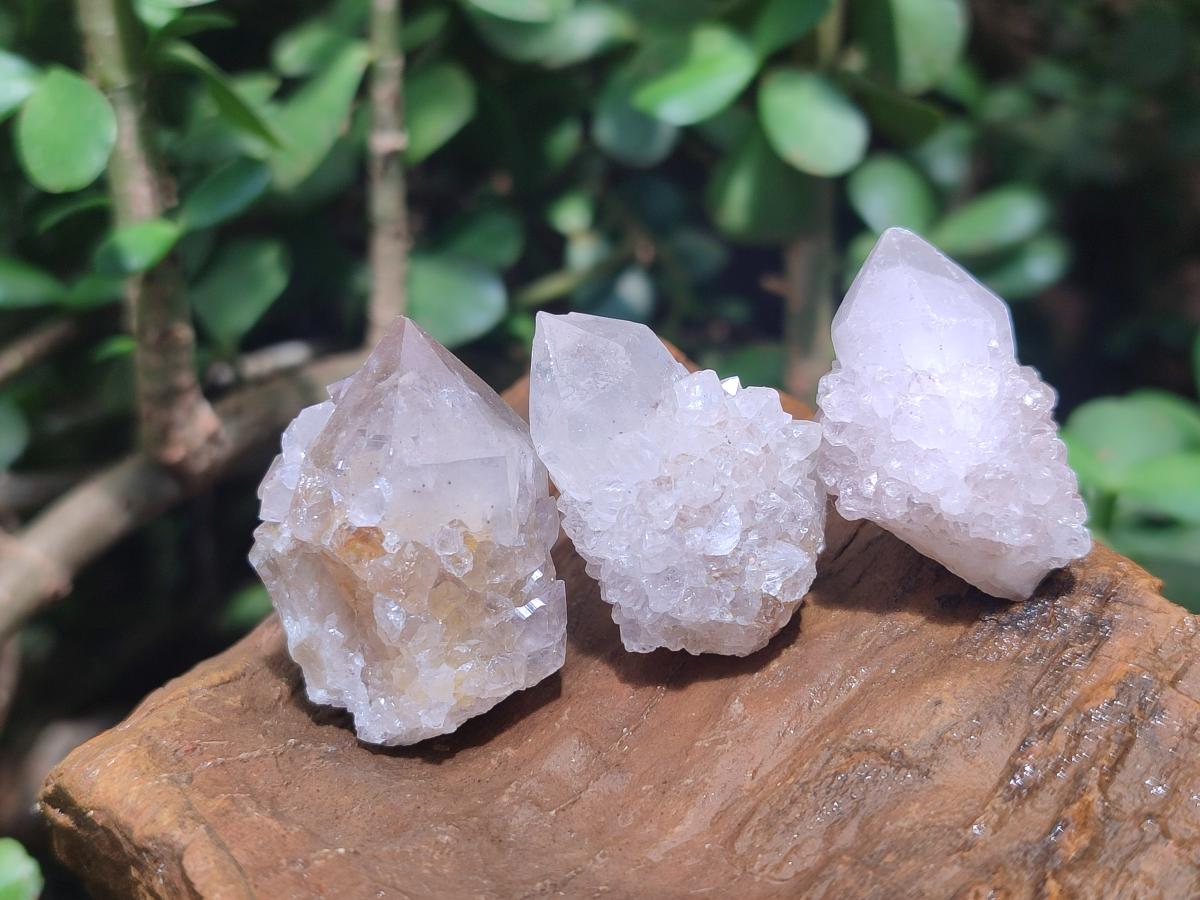 Natural Spirit Quartz Crystals x 56 From Boekenhouthoek, South Africa - Toprock Gemstones and Minerals 