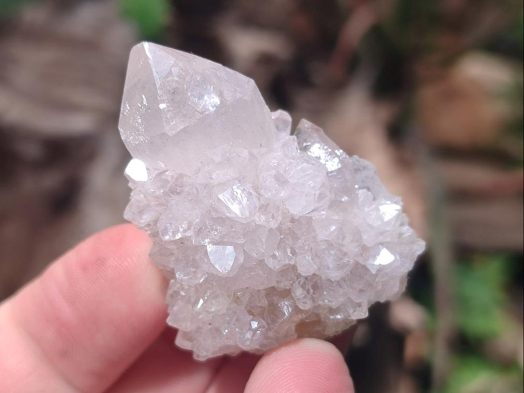 Natural Spirit Quartz Crystals x 56 From Boekenhouthoek, South Africa - Toprock Gemstones and Minerals 