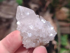 Natural Spirit Quartz Crystals x 56 From Boekenhouthoek, South Africa - Toprock Gemstones and Minerals 