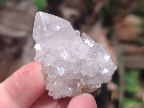 Natural Spirit Quartz Crystals x 56 From Boekenhouthoek, South Africa - Toprock Gemstones and Minerals 