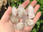Natural Spirit Quartz Crystals x 56 From Boekenhouthoek, South Africa - Toprock Gemstones and Minerals 