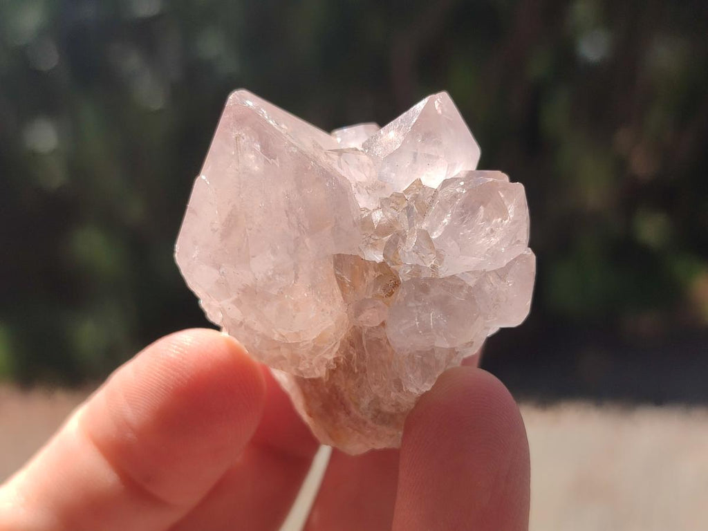 Natural Spirit Quartz Crystals x 56 From Boekenhouthoek, South Africa - Toprock Gemstones and Minerals 