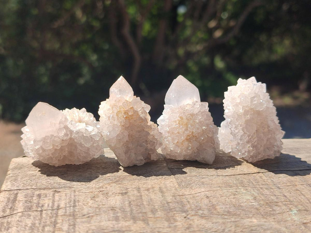 Natural Spirit Quartz Crystals x 56 From Boekenhouthoek, South Africa - Toprock Gemstones and Minerals 