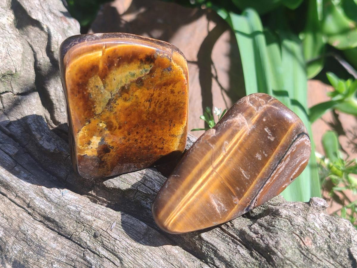 Polished Golden Tigers Eye Tumbled Free Forms x 35 From Prieska, South Africa - Toprock Gemstones and Minerals 