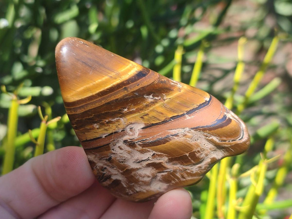 Polished Golden Tigers Eye Tumbled Free Forms x 35 From Prieska, South Africa - Toprock Gemstones and Minerals 