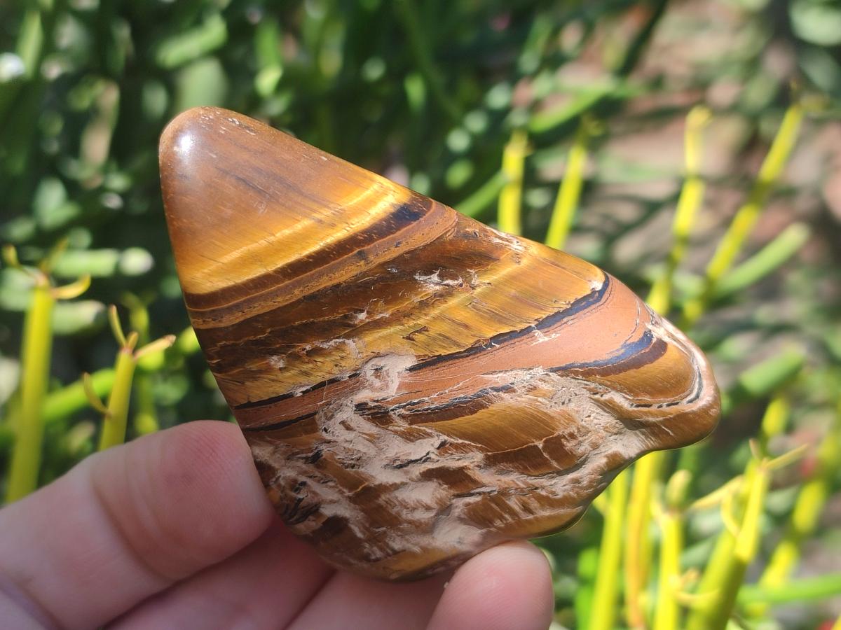 Polished Golden Tigers Eye Tumbled Free Forms x 35 From Prieska, South Africa - Toprock Gemstones and Minerals 