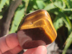 Polished Golden Tigers Eye Tumbled Free Forms x 35 From Prieska, South Africa - Toprock Gemstones and Minerals 