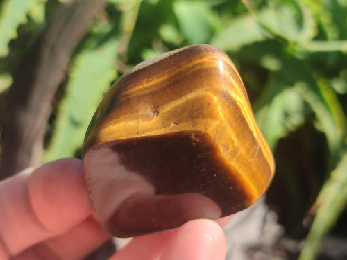 Polished Golden Tigers Eye Tumbled Free Forms x 35 From Prieska, South Africa - Toprock Gemstones and Minerals 