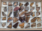 Polished Golden Tigers Eye Tumbled Free Forms x 35 From Prieska, South Africa - Toprock Gemstones and Minerals 