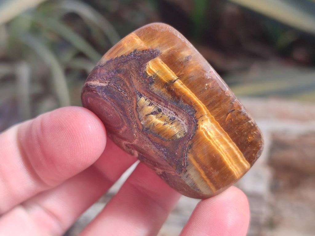 Polished Golden Tigers Eye Tumbled Free Forms x 35 From Prieska, South Africa - Toprock Gemstones and Minerals 