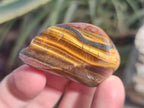 Polished Golden Tigers Eye Tumbled Free Forms x 35 From Prieska, South Africa - Toprock Gemstones and Minerals 