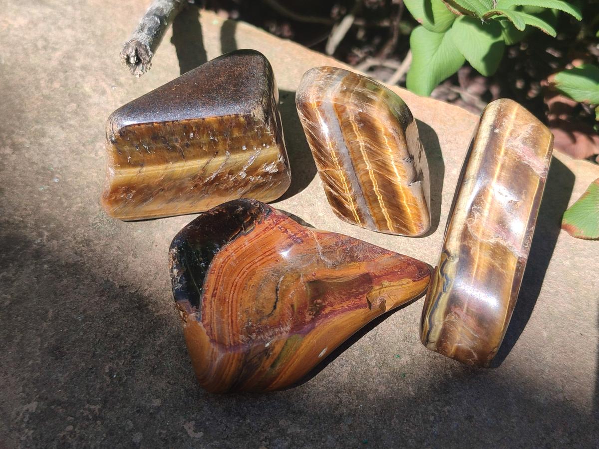 Polished Golden Tigers Eye Tumbled Free Forms x 35 From Prieska, South Africa - Toprock Gemstones and Minerals 