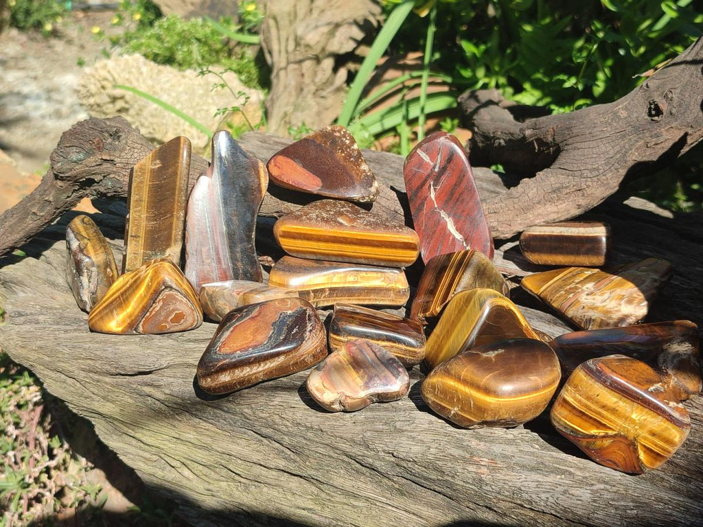 Polished Golden Tigers Eye Tumbled Free Forms x 35 From Prieska, South Africa - Toprock Gemstones and Minerals 