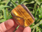 Polished Golden Tigers Eye Tumbled Free Forms x 35 From Prieska, South Africa - Toprock Gemstones and Minerals 