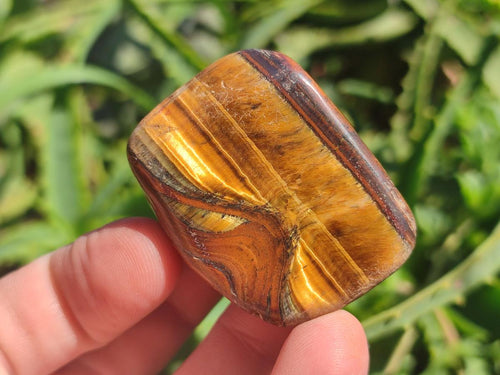 Polished Golden Tigers Eye Tumbled Free Forms x 35 From Prieska, South Africa - Toprock Gemstones and Minerals 