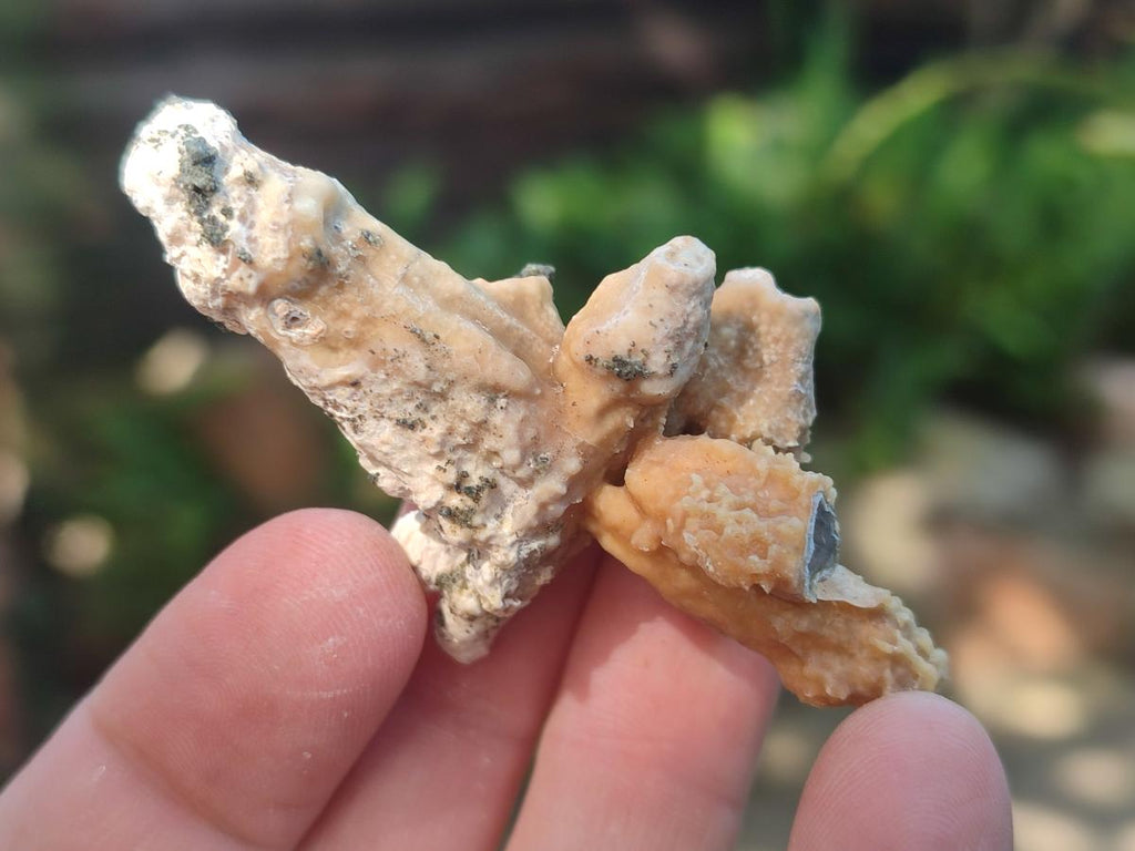Natural Spearhead Calcite Crystal and Cluster Specimens x 38 From Albert's Mountain, Lesotho - Toprock Gemstones and Minerals 