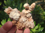 Natural Spearhead Calcite Crystal and Cluster Specimens x 38 From Albert's Mountain, Lesotho - Toprock Gemstones and Minerals 