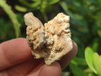 Natural Spearhead Calcite Crystal and Cluster Specimens x 38 From Albert's Mountain, Lesotho - Toprock Gemstones and Minerals 