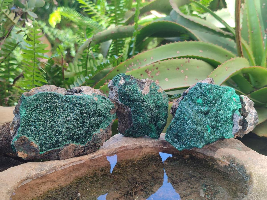 Natural Crystalline Malachite Specimens x 6 From Tenke Fungurume, Congo - Toprock Gemstones and Minerals 