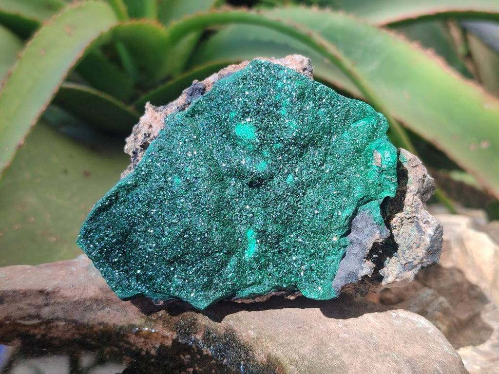 Natural Crystalline Malachite Specimens x 6 From Tenke Fungurume, Congo - Toprock Gemstones and Minerals 