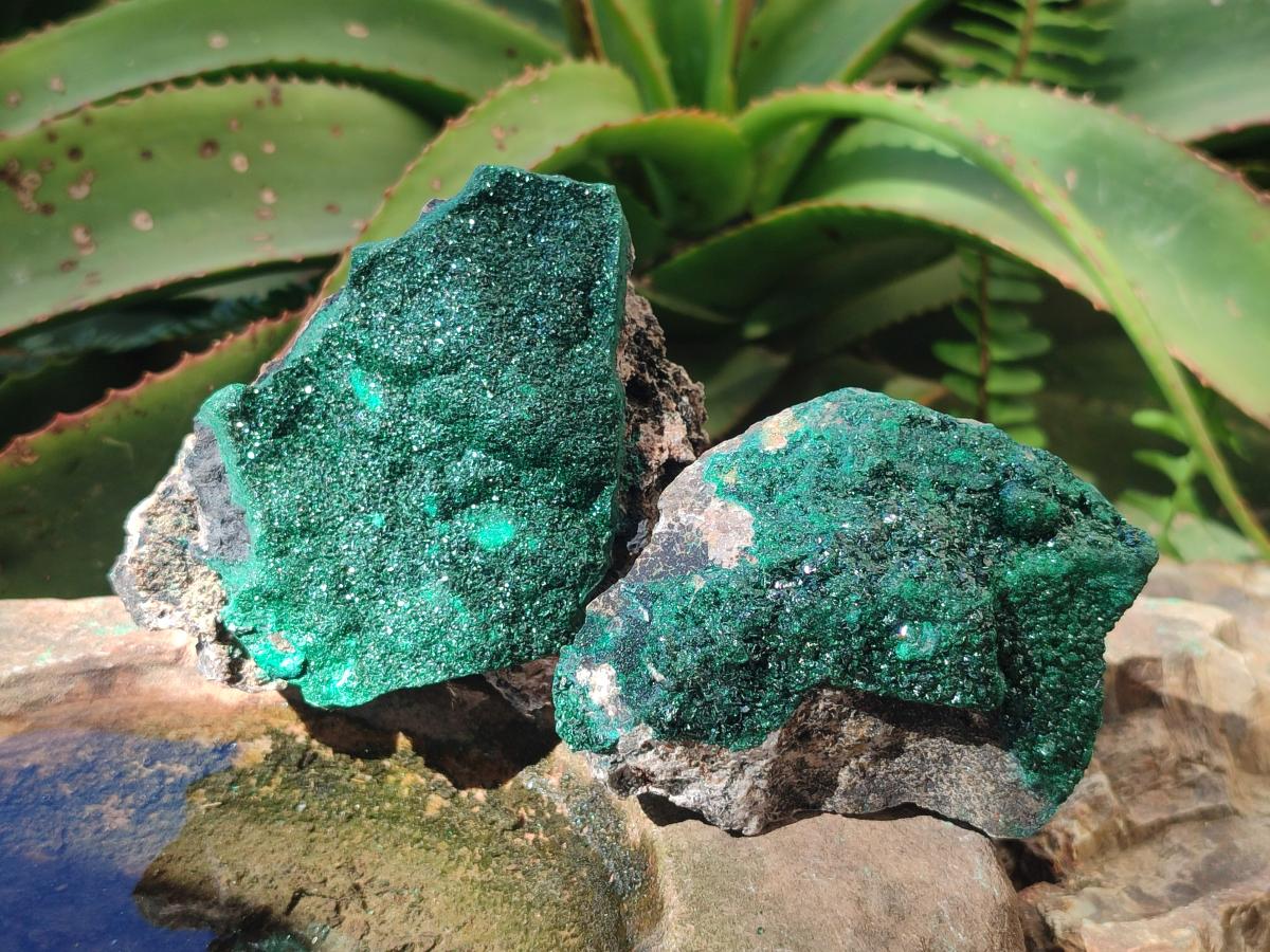 Natural Crystalline Malachite Specimens x 6 From Tenke Fungurume, Congo - Toprock Gemstones and Minerals 