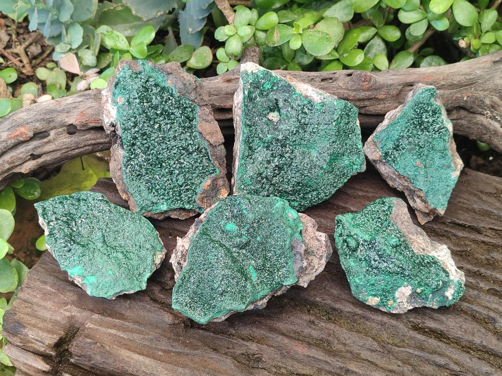 Natural Crystalline Malachite Specimens x 6 From Tenke Fungurume, Congo - Toprock Gemstones and Minerals 
