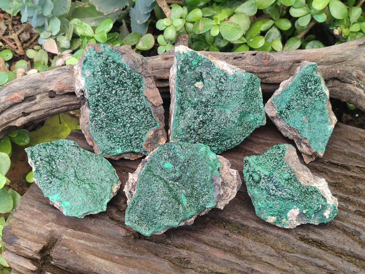Natural Crystalline Malachite Specimens x 6 From Tenke Fungurume, Congo - Toprock Gemstones and Minerals 