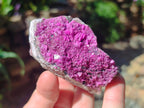 Natural Salrose Cobaltoan Dolomite Specimens x 6 From Kakanda, Congo - Toprock Gemstones and Minerals 