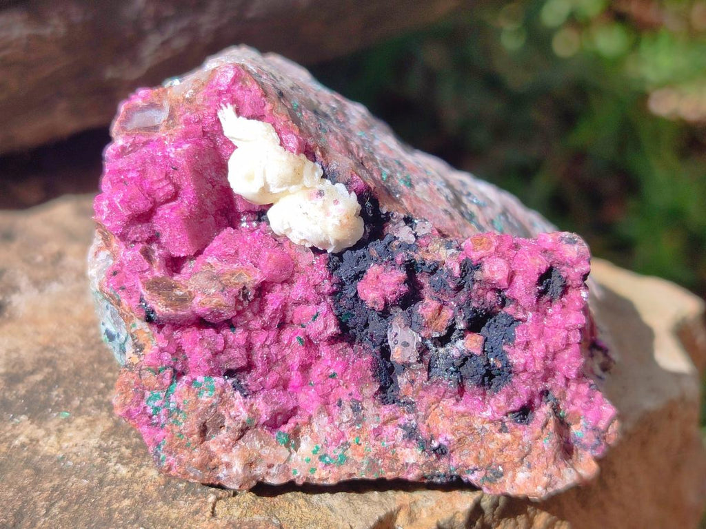 Natural Salrose Cobaltoan Dolomite Specimens x 6 From Kakanda, Congo - Toprock Gemstones and Minerals 