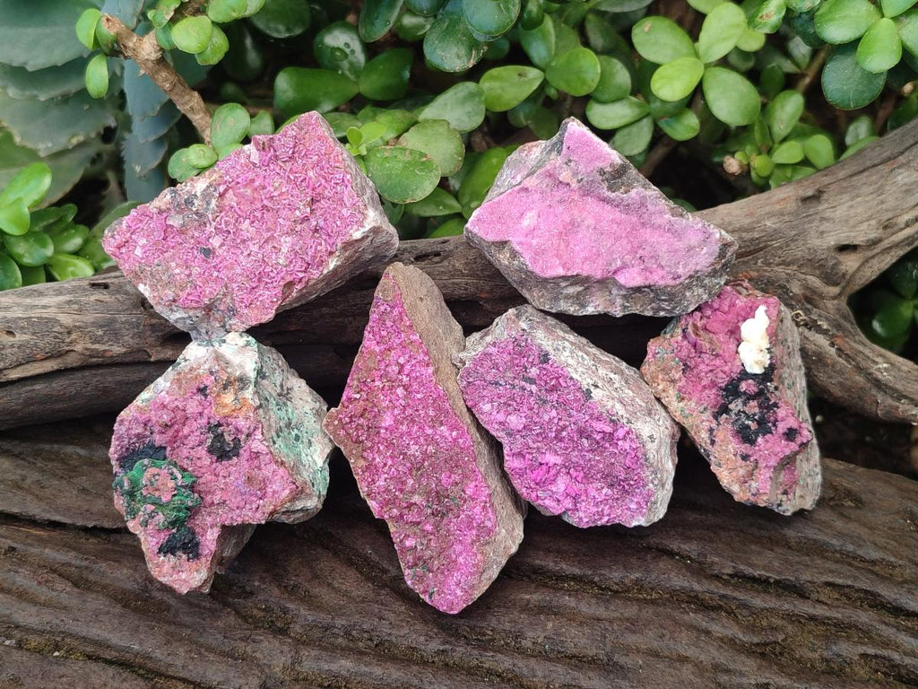 Natural Salrose Cobaltoan Dolomite Specimens x 6 From Kakanda, Congo - Toprock Gemstones and Minerals 