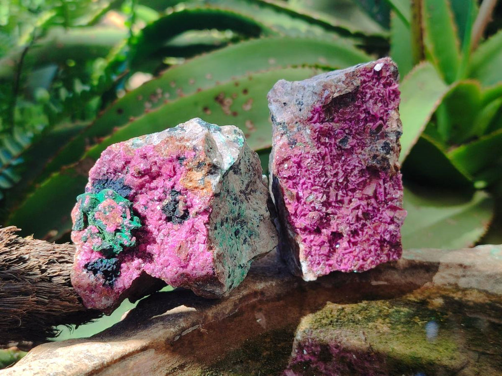 Natural Salrose Cobaltoan Dolomite Specimens x 6 From Kakanda, Congo - Toprock Gemstones and Minerals 