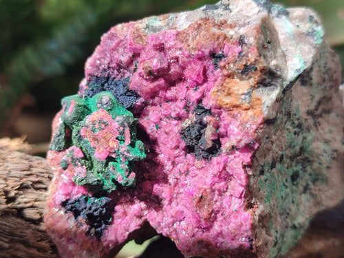 Natural Salrose Cobaltoan Dolomite Specimens x 6 From Kakanda, Congo - Toprock Gemstones and Minerals 