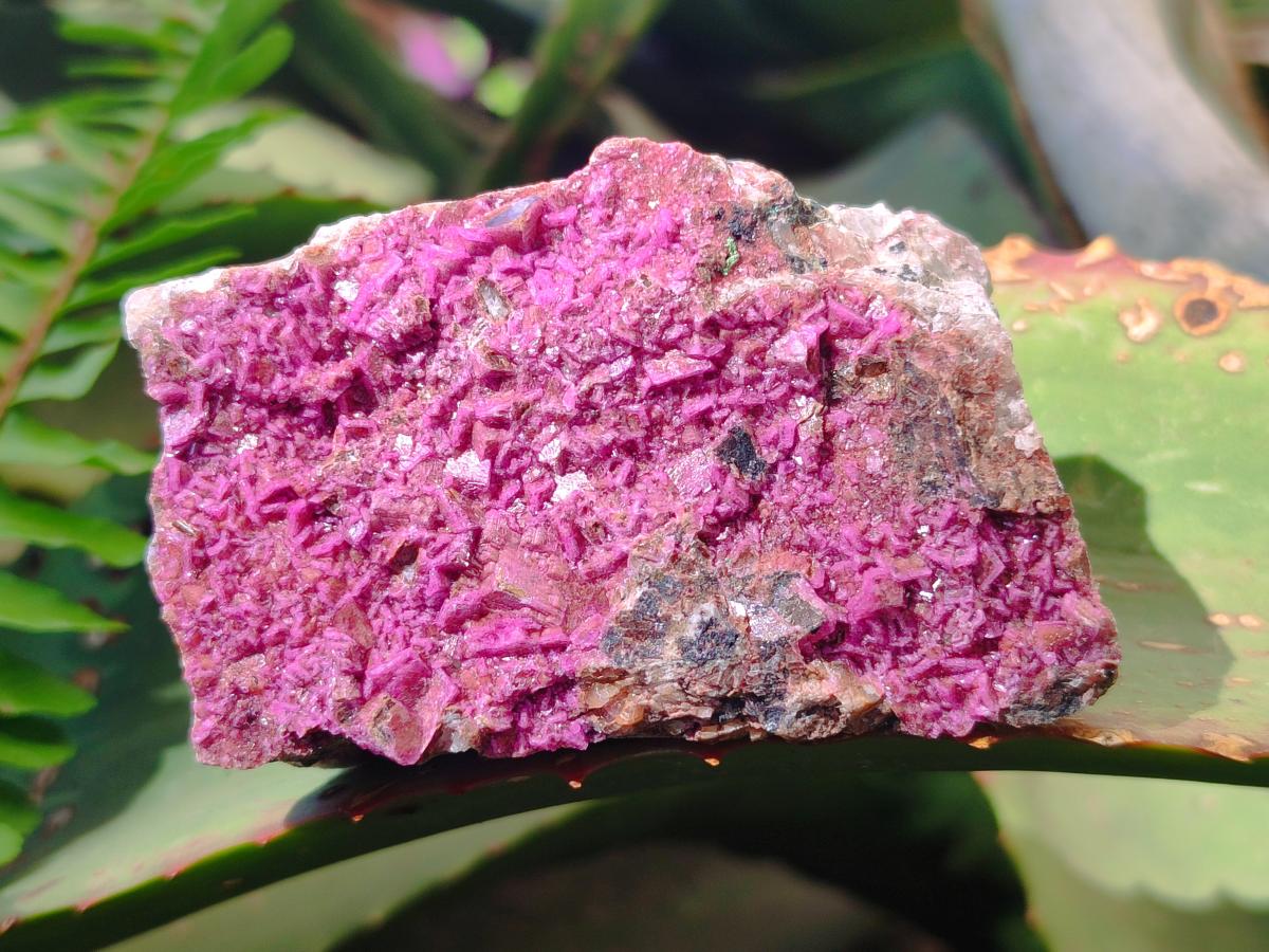 Natural Salrose Cobaltoan Dolomite Specimens x 6 From Kakanda, Congo - Toprock Gemstones and Minerals 