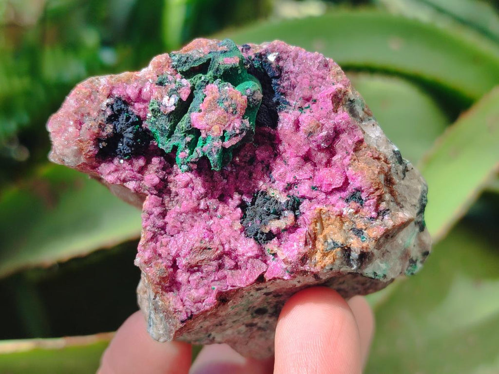 Natural Salrose Cobaltoan Dolomite Specimens x 6 From Kakanda, Congo - Toprock Gemstones and Minerals 