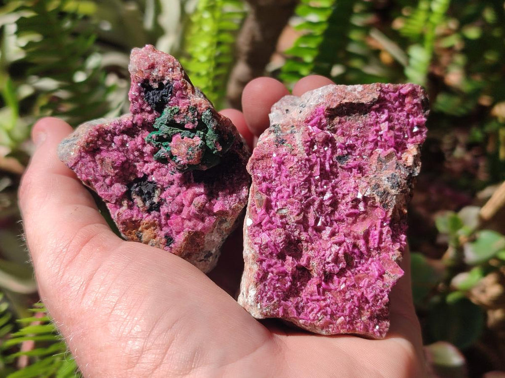 Natural Salrose Cobaltoan Dolomite Specimens x 6 From Kakanda, Congo - Toprock Gemstones and Minerals 
