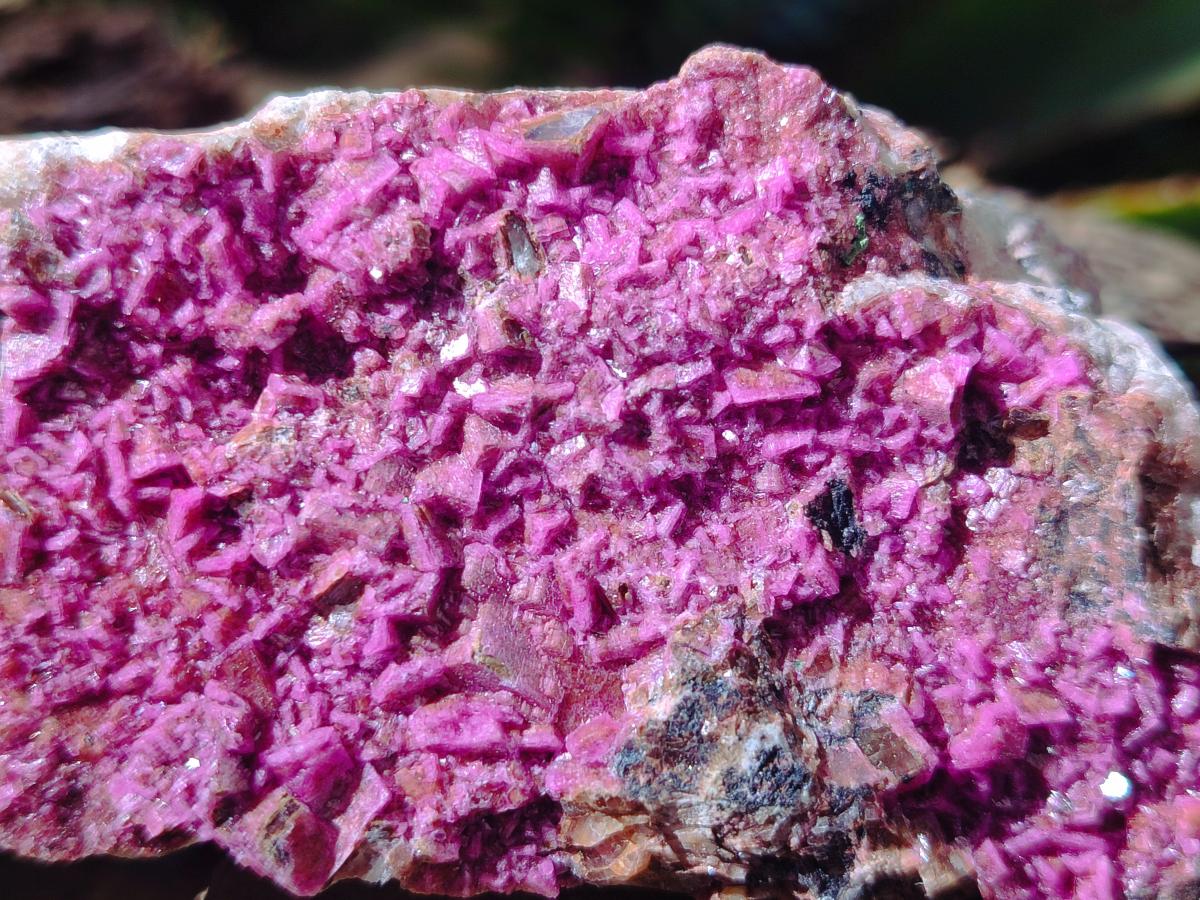 Natural Salrose Cobaltoan Dolomite Specimens x 6 From Kakanda, Congo - Toprock Gemstones and Minerals 