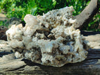 Natural Large Spearhead Calcite Cluster with Rhomboherdral Crystals x 1 From Albert's Mountain, Lesotho - Toprock Gemstones and Minerals 