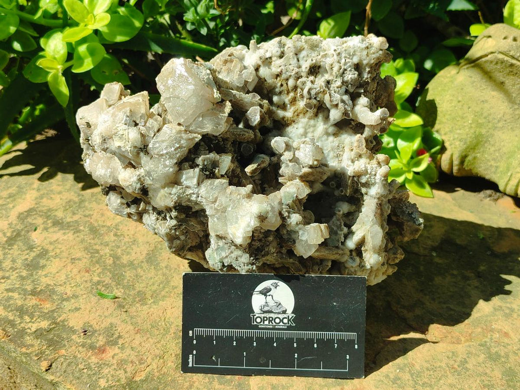 Natural Large Spearhead Calcite Cluster with Rhomboherdral Crystals x 1 From Albert's Mountain, Lesotho - Toprock Gemstones and Minerals 