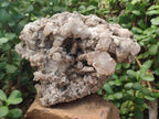 Natural Large Spearhead Calcite Cluster with Rhomboherdral Crystals x 1 From Albert's Mountain, Lesotho - Toprock Gemstones and Minerals 