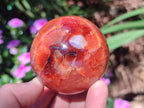 Polished and Natural Carnelian Agate Gemstone Spheres x 6 From Madagascar - Toprock Gemstones and Minerals 