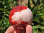 Polished and Natural Carnelian Agate Gemstone Spheres x 6 From Madagascar - Toprock Gemstones and Minerals 