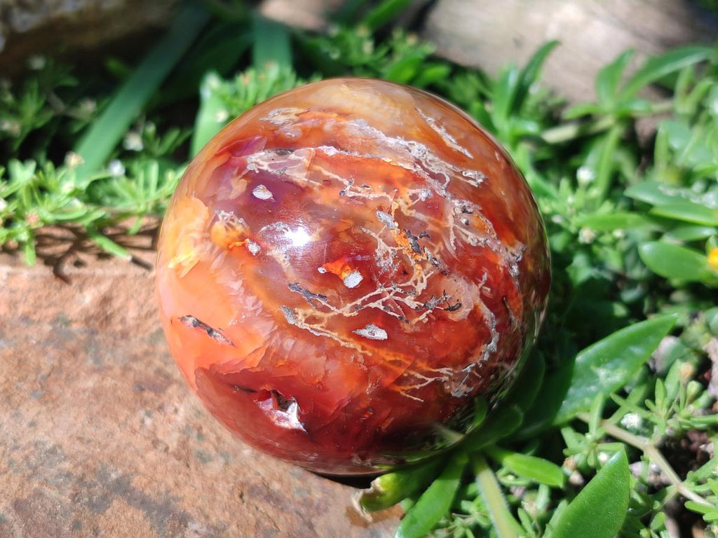 Polished and Natural Carnelian Agate Gemstone Spheres x 6 From Madagascar - Toprock Gemstones and Minerals 