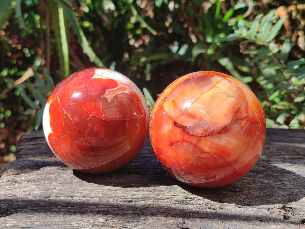 Polished and Natural Carnelian Agate Gemstone Spheres x 6 From Madagascar - Toprock Gemstones and Minerals 