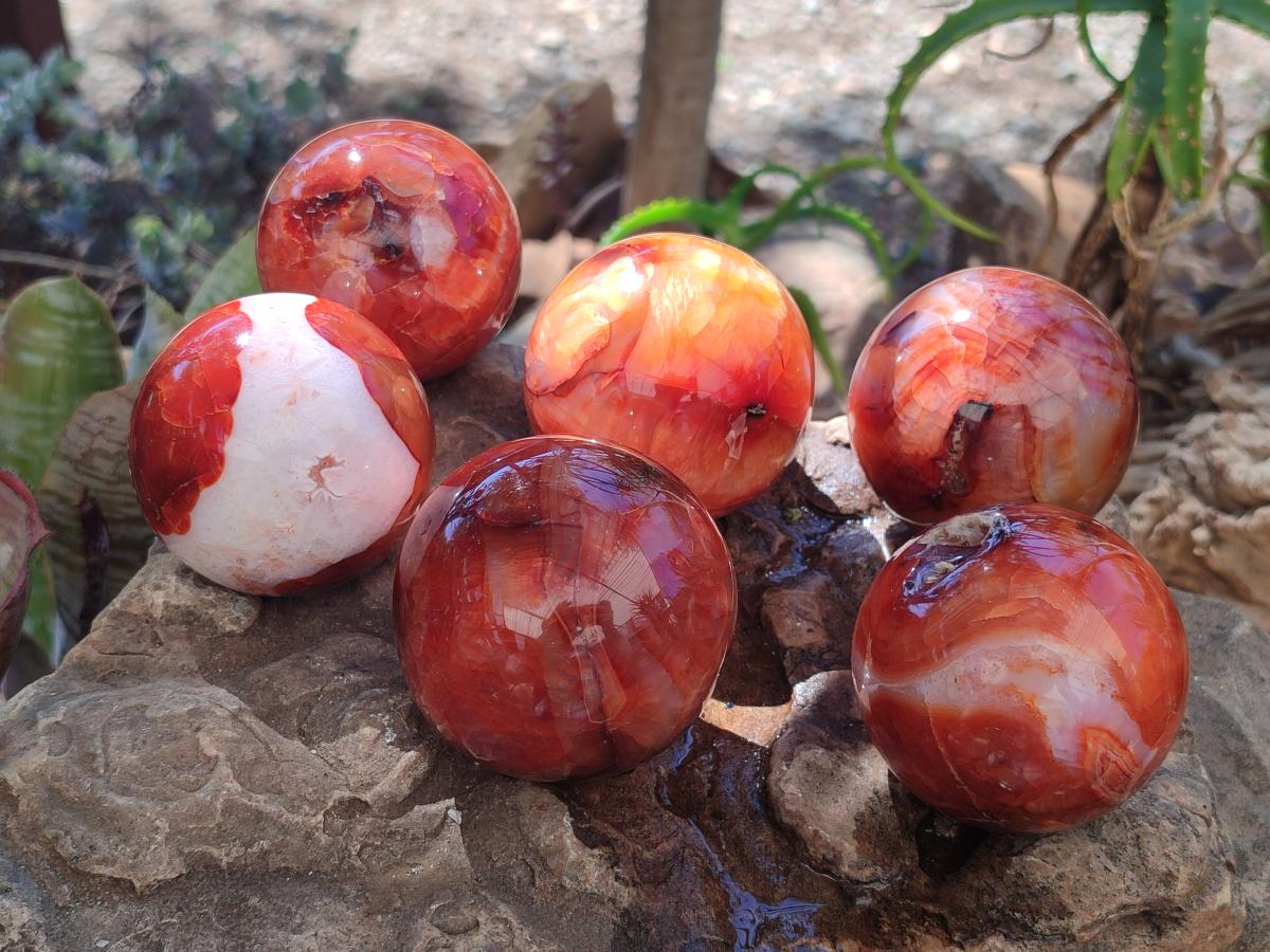 Polished and Natural Carnelian Agate Gemstone Spheres x 6 From Madagascar - Toprock Gemstones and Minerals 