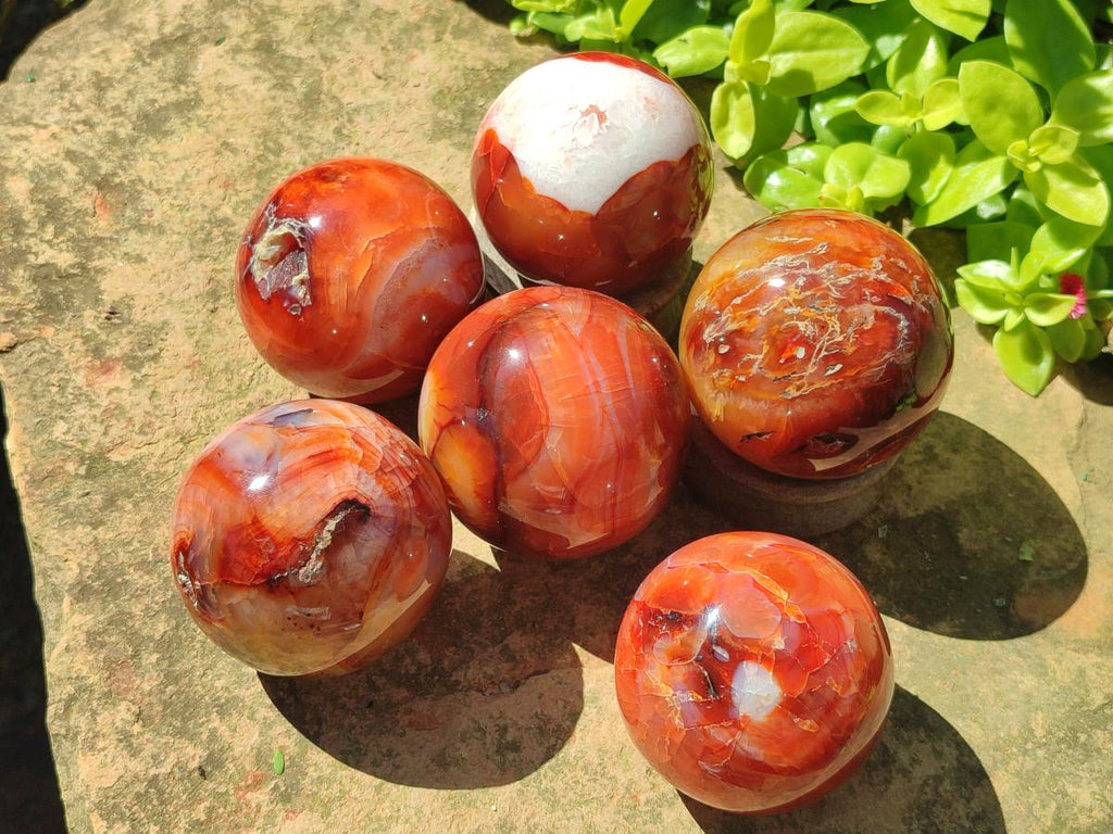 Polished and Natural Carnelian Agate Gemstone Spheres x 6 From Madagascar - Toprock Gemstones and Minerals 