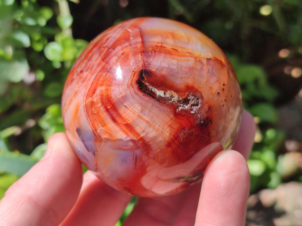 Polished and Natural Carnelian Agate Gemstone Spheres x 6 From Madagascar - Toprock Gemstones and Minerals 