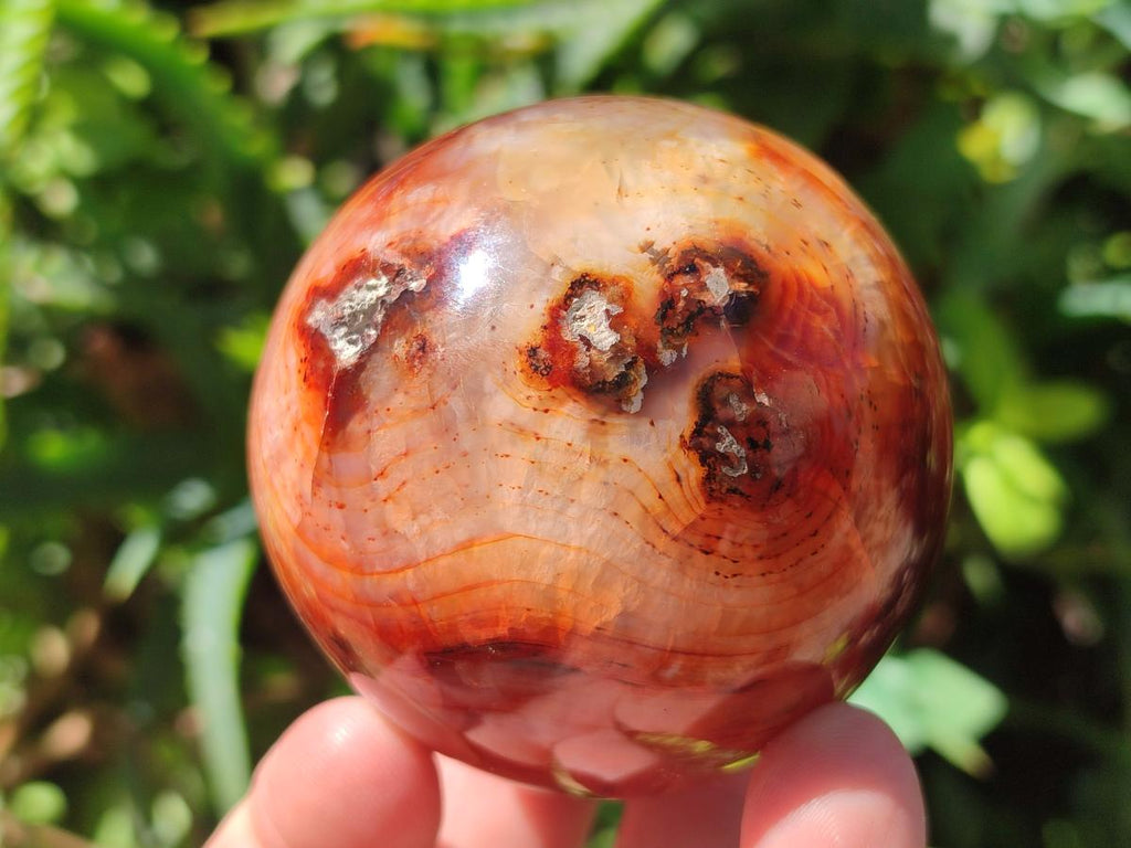 Polished and Natural Carnelian Agate Gemstone Spheres x 6 From Madagascar - Toprock Gemstones and Minerals 