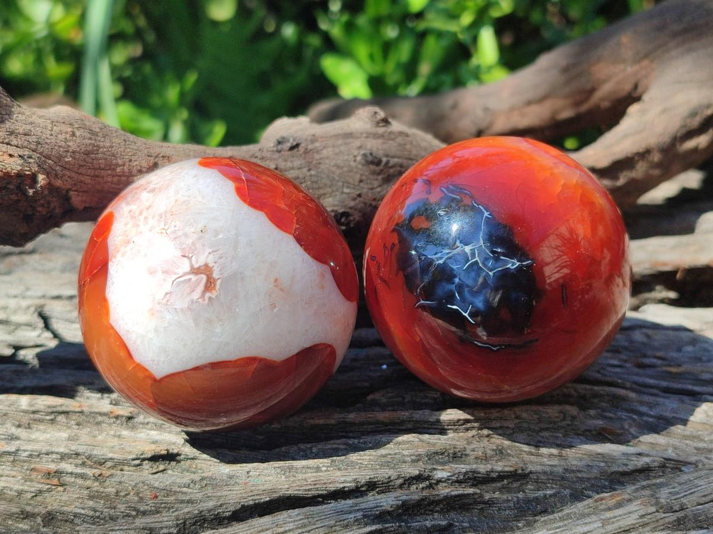 Polished and Natural Carnelian Agate Gemstone Spheres x 6 From Madagascar - Toprock Gemstones and Minerals 