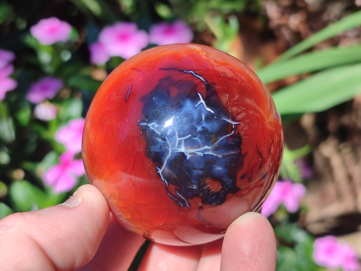 Polished and Natural Carnelian Agate Gemstone Spheres x 6 From Madagascar - Toprock Gemstones and Minerals 