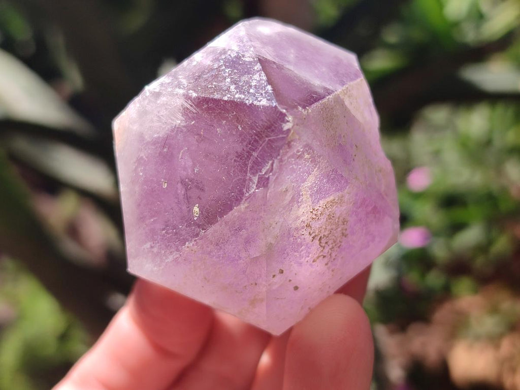 Natural Jacaranda Amethyst Single Crystals x 12 From Mumbwa, Zambia - Toprock Gemstones and Minerals 